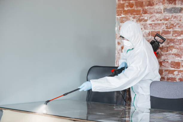 Best Forensic Mold Investigation in Inwood, NY